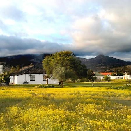 Harry'S Place Guesthouse Kamieskroon Exterior foto